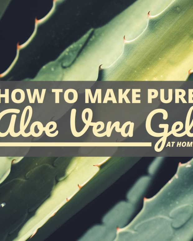 how-to-make-pure-aloe-vera-gel-at-home