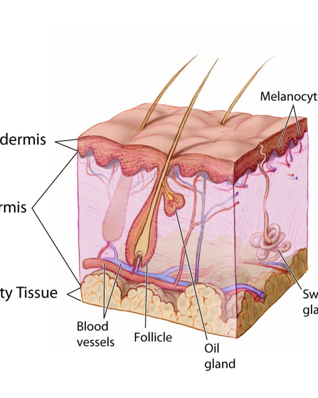 retin-a-stretch-marks