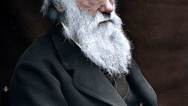 the-victorian-beard-craze